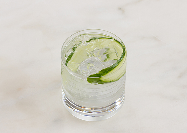 Gin and Tonic with Cucumber Garnish