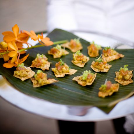 Tandoori Chicken on Poppadum Crisp with Mango Chutney and Cilantro