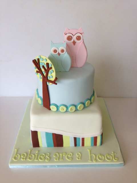 2-tier owl themed Baby Shower Cake